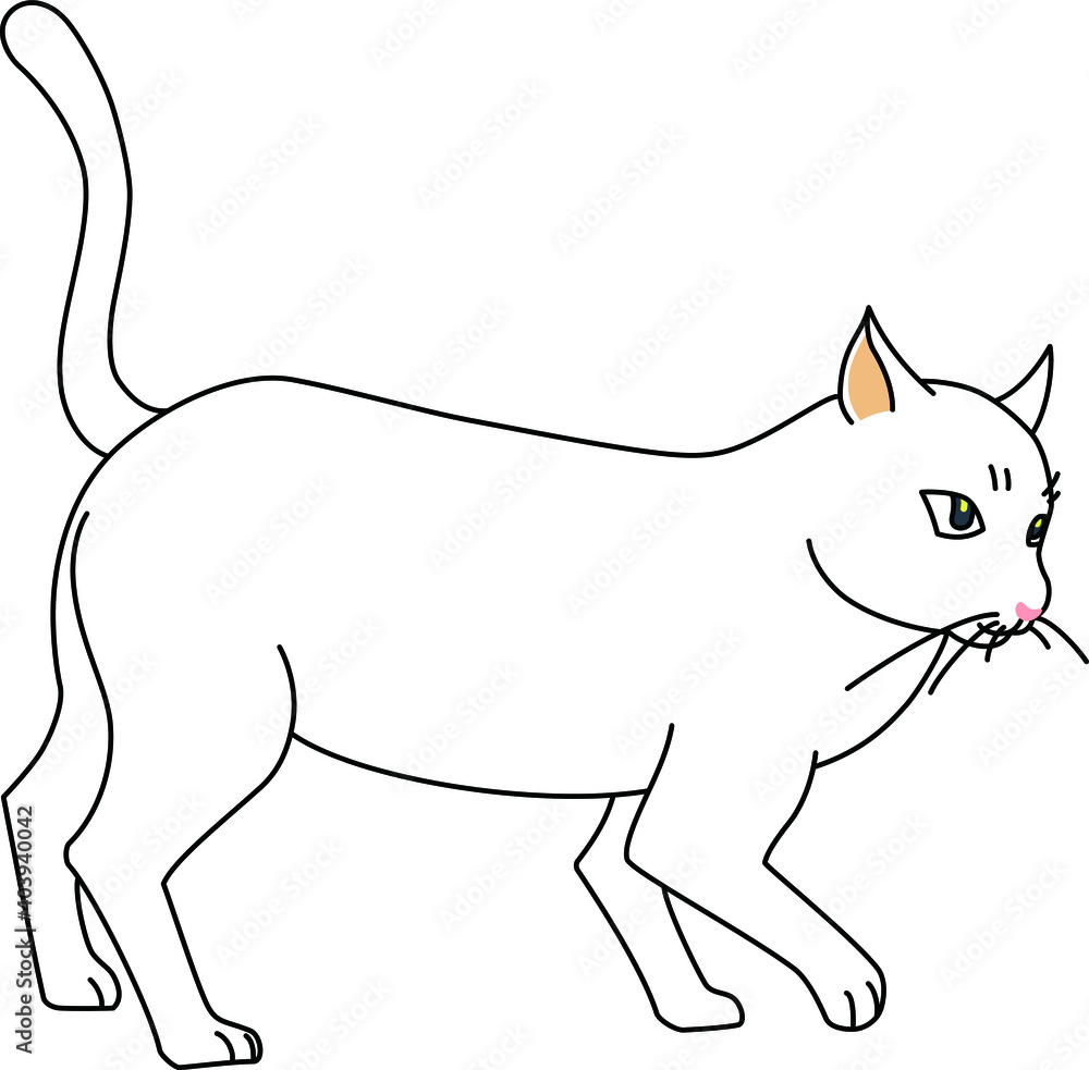 前を向いている白猫 前を向いている白猫