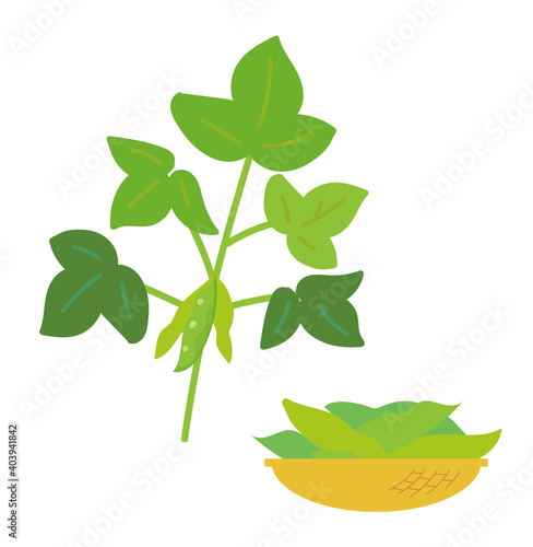 枝つき枝豆ザル入