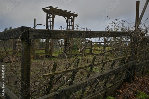 A trellis in a winter garden. photo