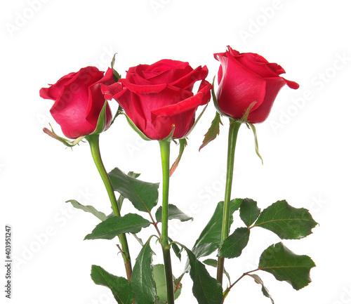 Bouquet of beautiful red roses on white background