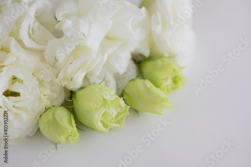 Flower frame  eustoma of a white and delicate color on a light background.