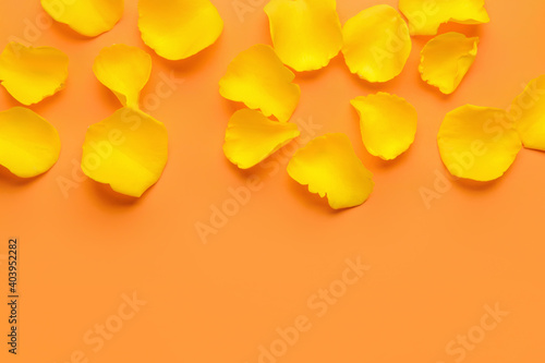 Wallpaper Mural Beautiful yellow rose petals on color background Torontodigital.ca