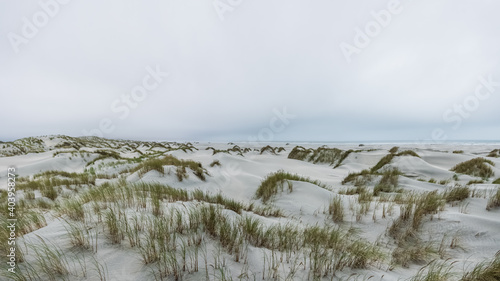 Sand dunes at Farewell Spit on the south island of New Zealand photo