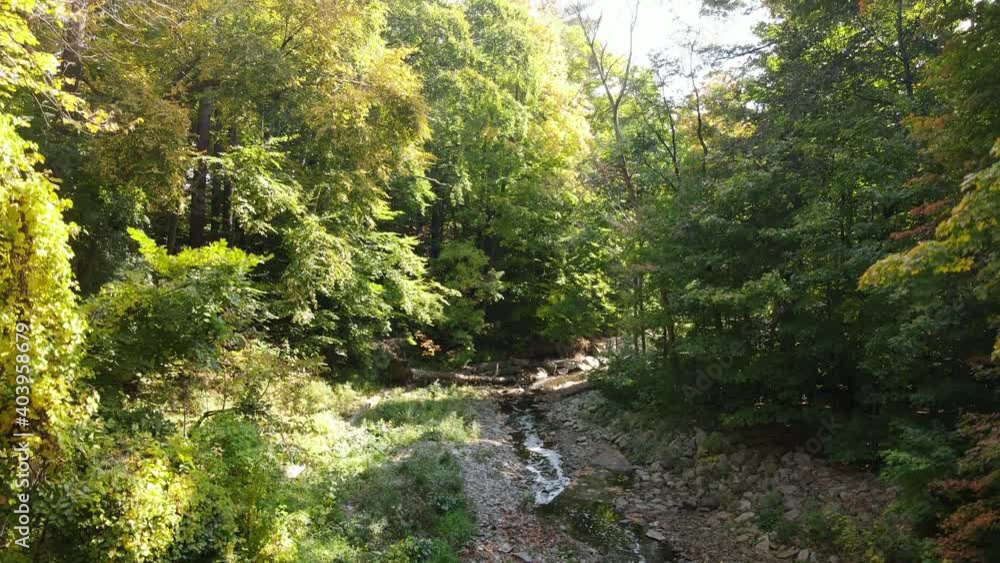 Drone flying up from a ravine during autumn to reveal the city of Toronto Drone flying up from a ravine during autumn to reveal the city of Toronto