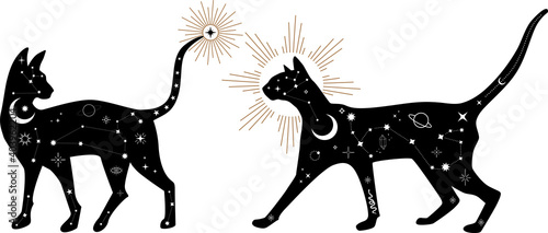 Set of black magical cats, Mystic Sphynx cat with crescent moon esoteric symbol, constellation, stars and magical elements. Magical cat,witchy black cat