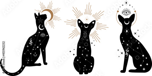 Set of black magical cats, Mystic Sphynx cat with crescent moon esoteric symbol, constellation, stars and magical elements. Magical cat,witchy black cat