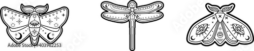 Set of celestial moth, dragonfly, butterfly. Collection of flying magic insects with magic ornament. Vector illustration of flying beetles with crescent moon and celestial elements, mystic moth