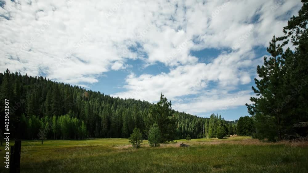 Time Lapse of a lush green meadow. Time Lapse of a lush green meadow.