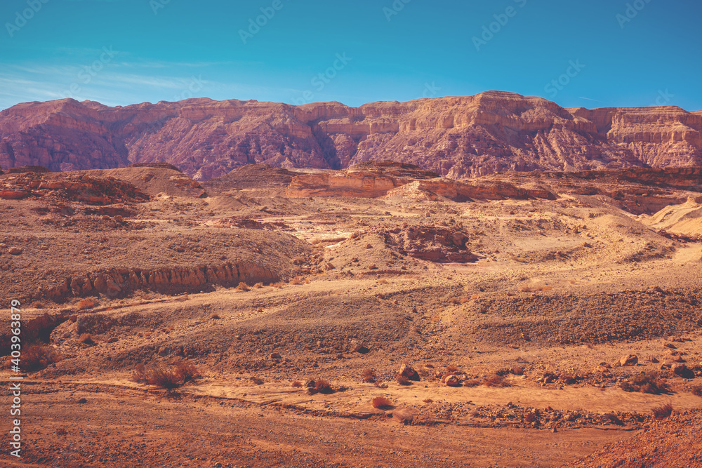 View of the desert. View of the valley with mountains on the backdrop. Timna Park, Eilat, Israel