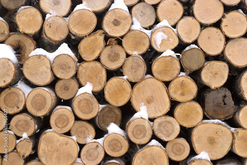 Background of birch logs.