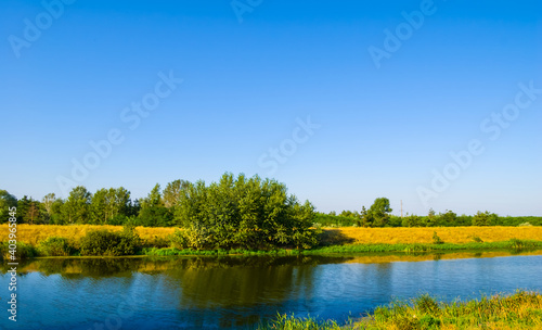 quiet summer river under a blue sky © Yuriy Kulik