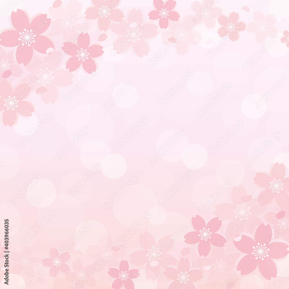 淡くて優しい桜の背景　フレーム　正方形　スクエア　Cherry blossoms frame background