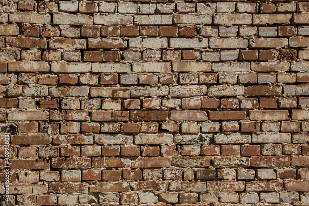 Fototapeta premium Red brick wall.