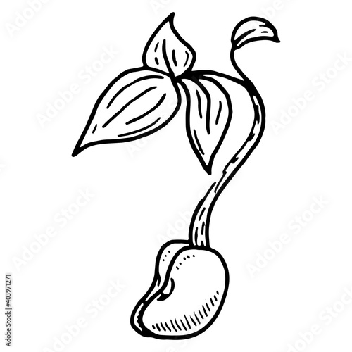 Sprout icon. Vector sprouted seedling.