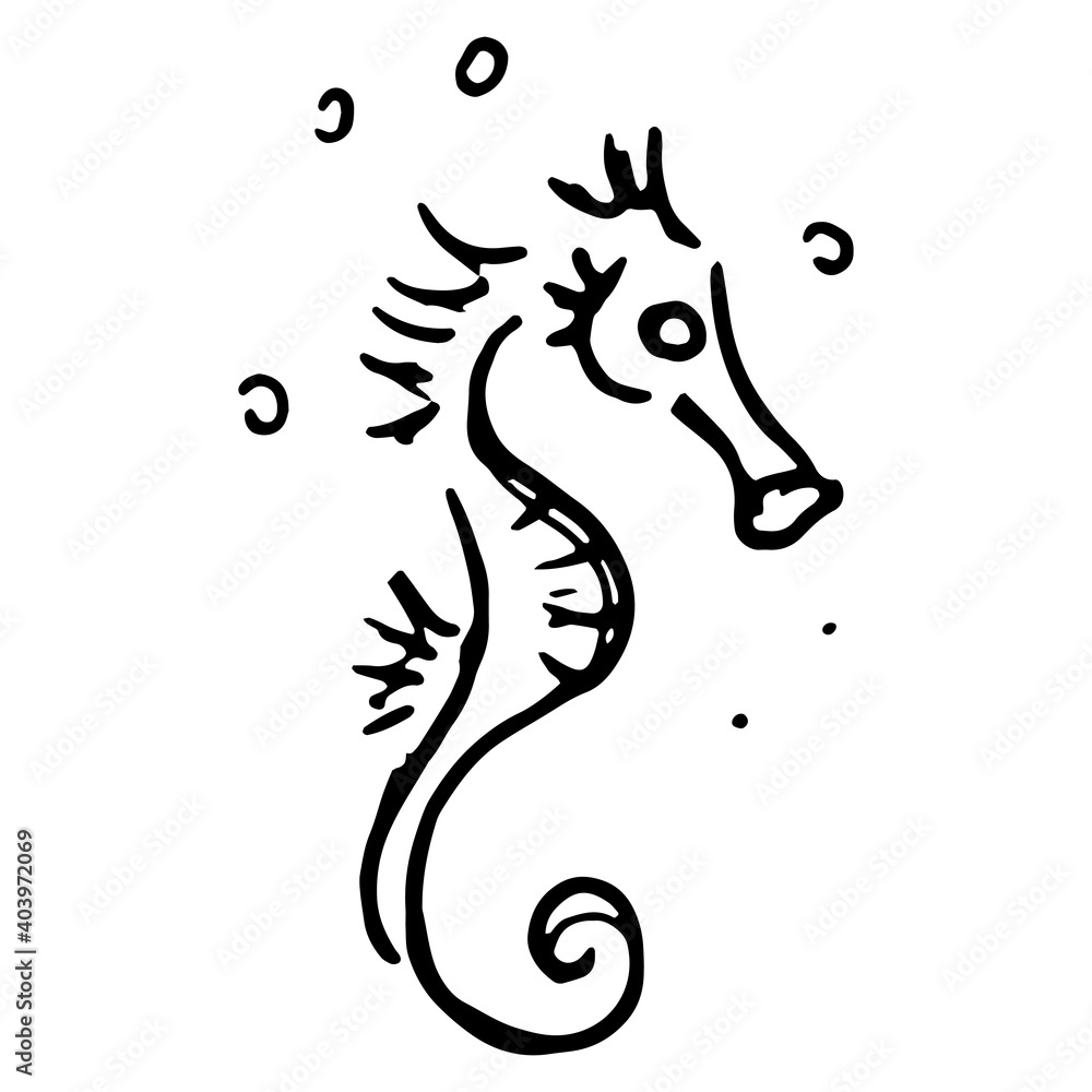 Seahorse icon. Vector cartoon character seahorse. Seahorse icon. Vector cartoon character seahorse.