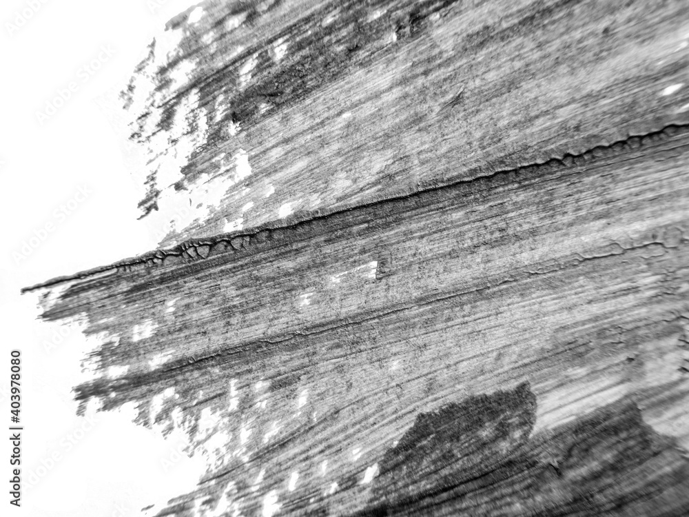 The black white acrylic painting texture background The black white acrylic painting texture background