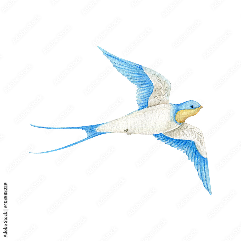 Obraz premium Watercolor swallow on white background. Flying bird cartoon.