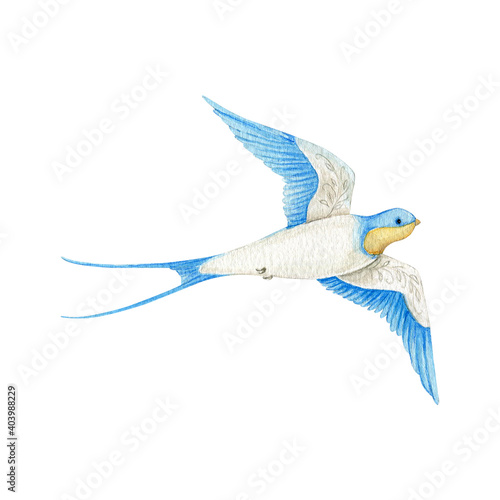 Watercolor swallow on white background. Flying  bird cartoon.