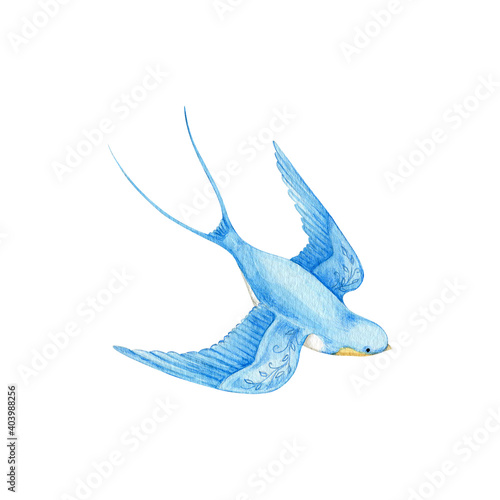 Watercolor swallow on white background. Flying  bird cartoon.