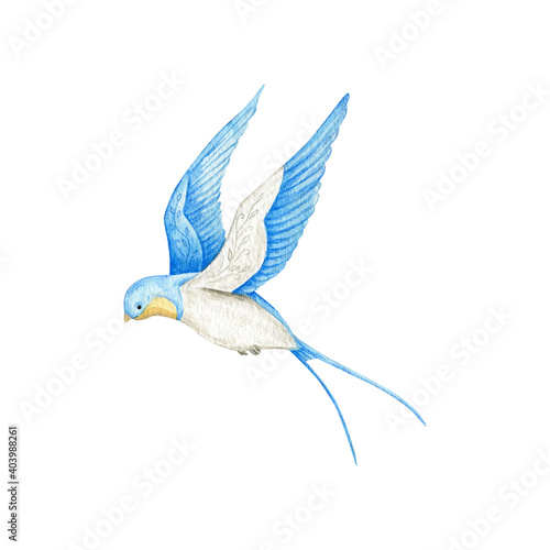 Watercolor swallow on white background. Flying  bird cartoon.