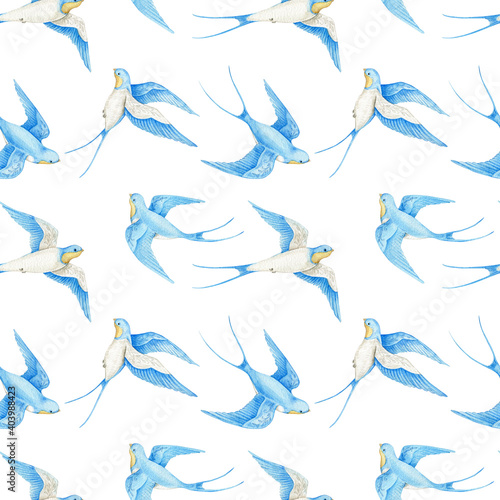 Watercolor seamless pattern swallow background. Flying  bird cartoon.
