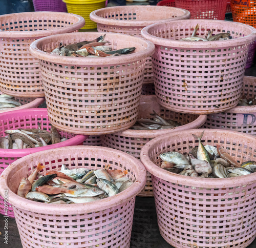 fishes in pink plastic basket