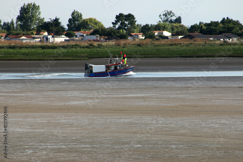 La Faute sur Mer - Estuaire du Lay