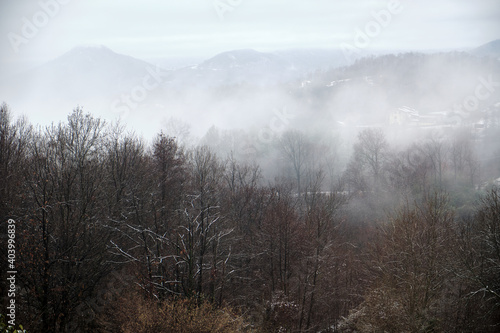 the fog descends downstream through the woods of the mountains
