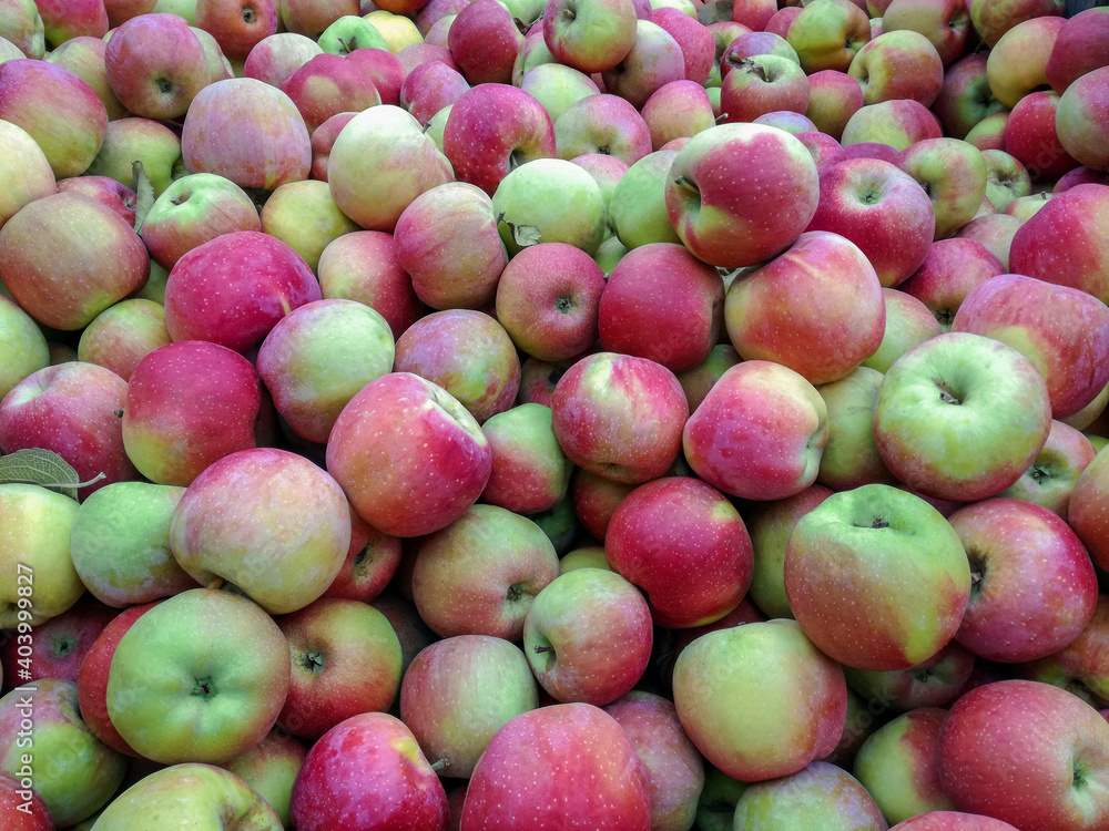 Bulk Apples in Bin. Ripe sweet red apples. Fresh organic apples from above for sale. Close-up. Selective focus. Full frame. Bulk Apples in Bin. Ripe sweet red apples. Fresh organic apples from above for sale. Close-up. Selective focus. Full frame.