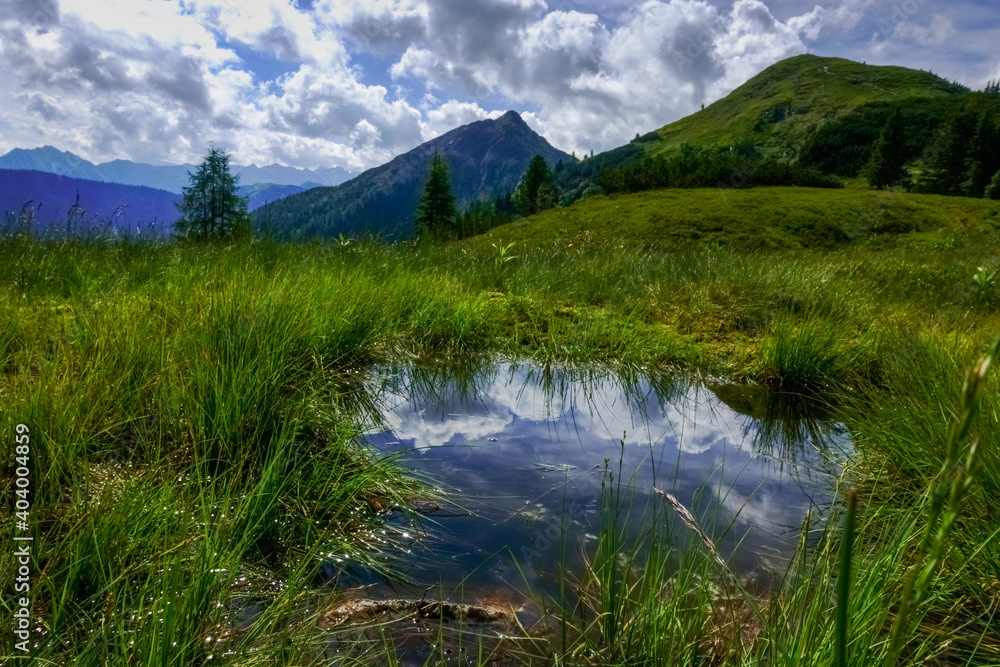 nice reflection from the clouds in a little pond while hiking in the summer