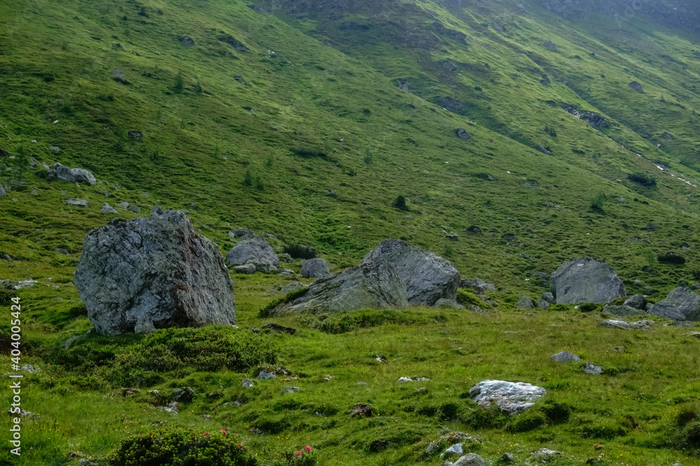 single huge rocks on a green meadow in the mountains
