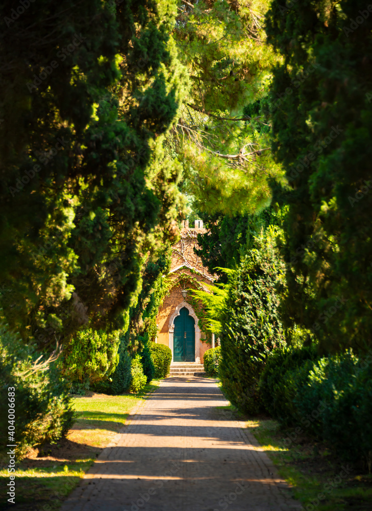 Green tree tunnel with a little house at the end Green tree tunnel with a little house at the end