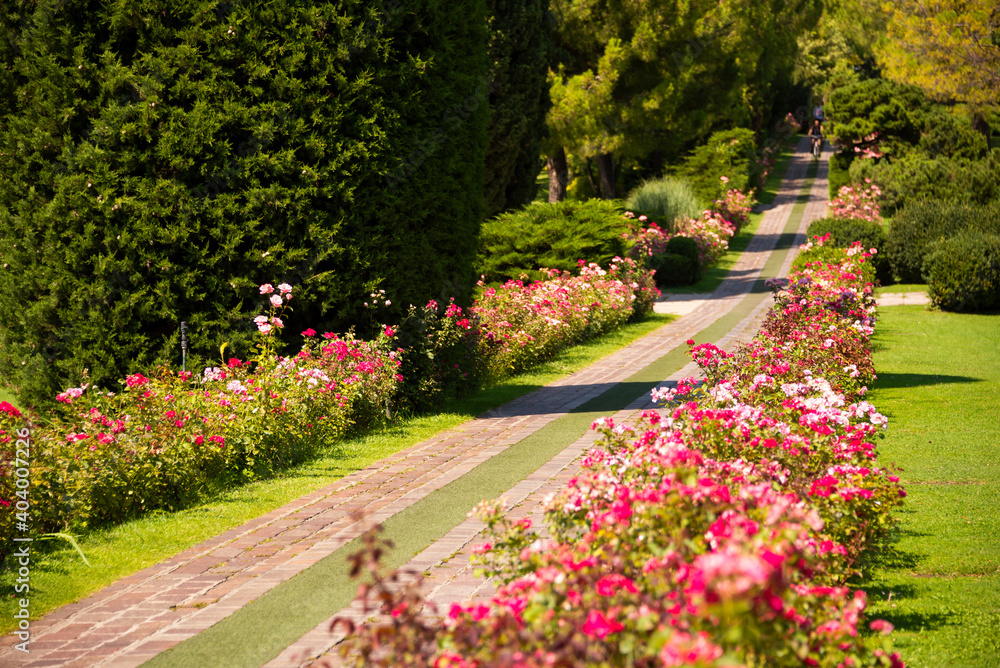 Beautiful flowers in Sigurta park in Italy in summer