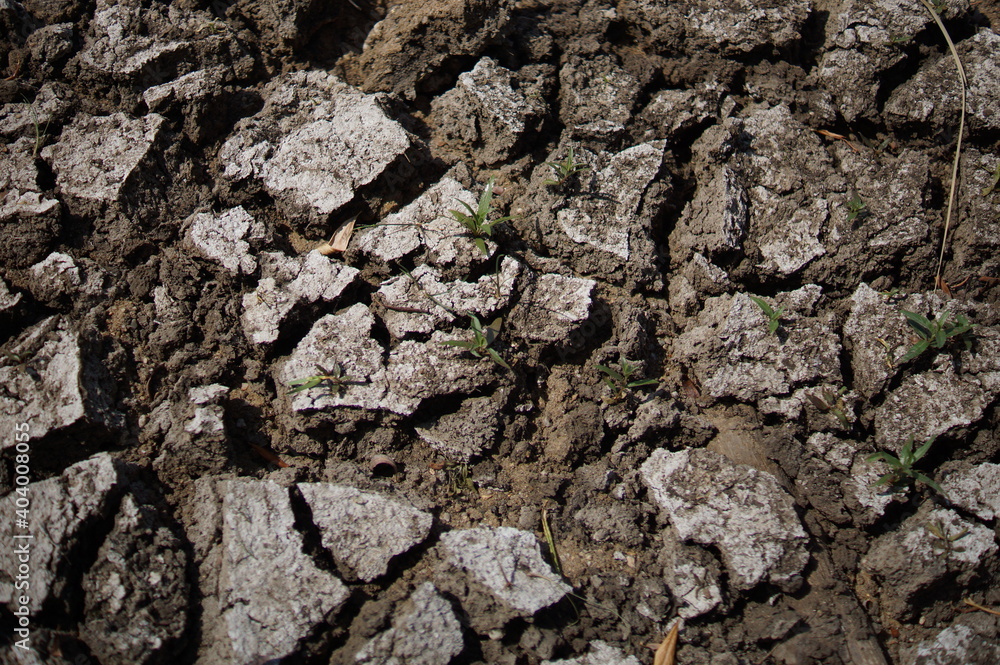 Dry lake or swamp in the process of drought and lack of rain or moisture, a global natural disaster. The cracked soil of the earth