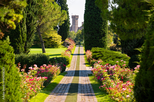 Beautiful alley in Sigurta park in Italy in summer photo