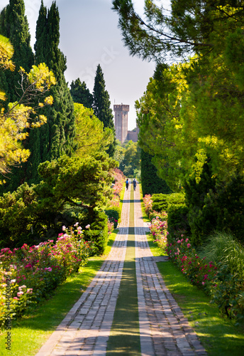 Beautiful alley in Sigurta park in Italy in summer