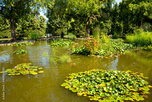 Beautiful pond in Sigurta park in Italy in summer