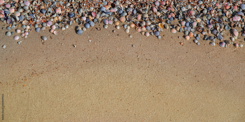 Very beautiful seashells on the sand, we got an excellent background on the marine theme
