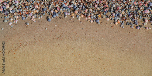 Fototapeta Naklejka Na Ścianę i Meble -  Very beautiful seashells on the sand, we got an excellent background on the marine theme