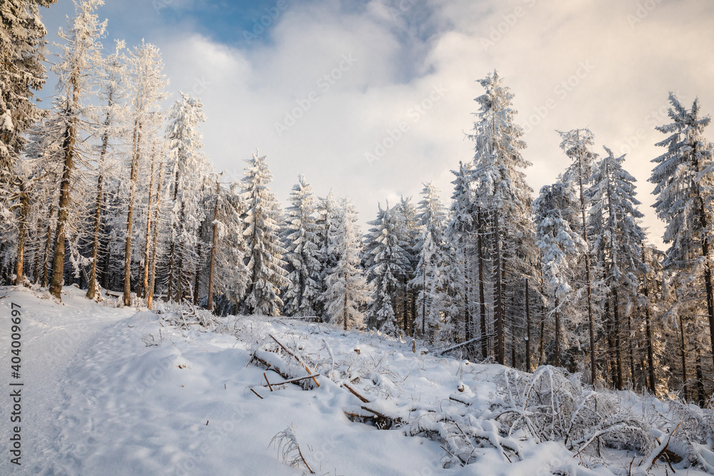 Beautiful winter in the Gorce Mountains - fresh snow created an amazing landscape. Beskidy, Poland. Beautiful winter in the Gorce Mountains - fresh snow created an amazing landscape. Beskidy, Poland.