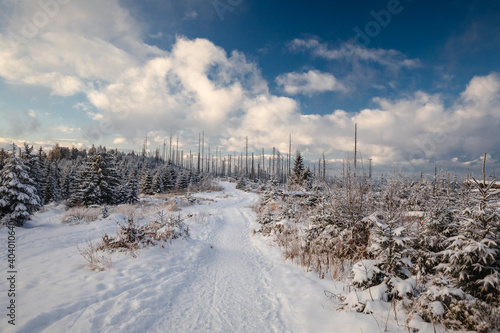 Beautiful winter in the Gorce Mountains - fresh snow created an amazing landscape. Beskidy, Poland.