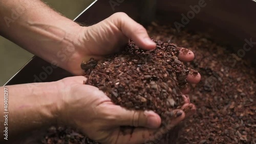 Close up of hands scooping and holding crushed up dry cocoa or cacao beans before removing the skin.
