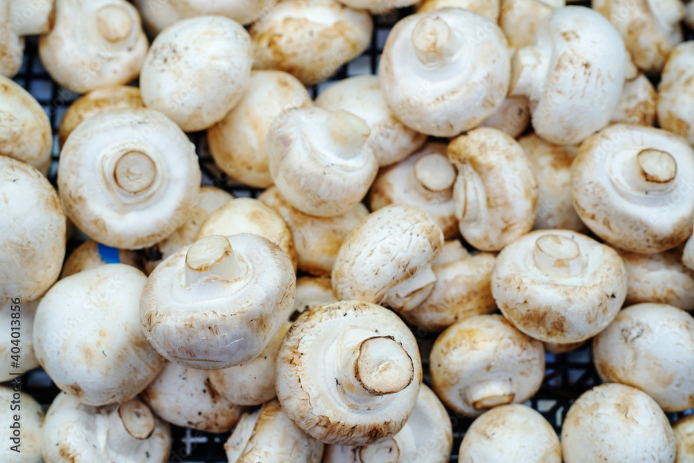 Lots of champignon mushrooms on the counter in the store. Close-up. Flat lay frame Lots of champignon mushrooms on the counter in the store. Close-up. Flat lay frame