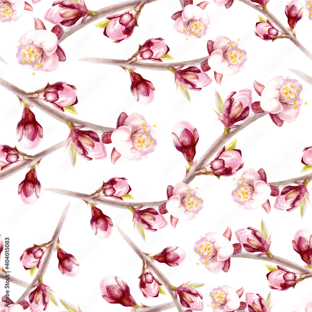 Watercolor seamless pattern apricot flowers isolated on white.