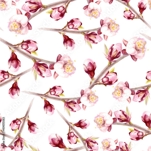 Watercolor seamless pattern apricot flowers isolated on white. © cosmicanna