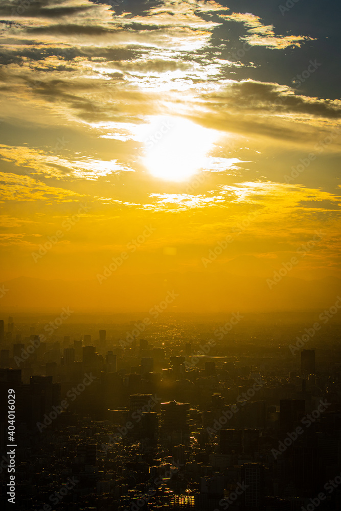 夕日に照らされる東京のビル群