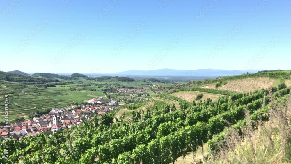 Beautiful view of a vineyard terraces and a village in the valley at Kaiserstuhl, Germany under a clear blue sky. The Rhine valley and the french Vosges mountains are in background. Beautiful view of a vineyard terraces and a village in the valley at Kaiserstuhl, Germany under a clear blue sky. The Rhine valley and the french Vosges mountains are in background.