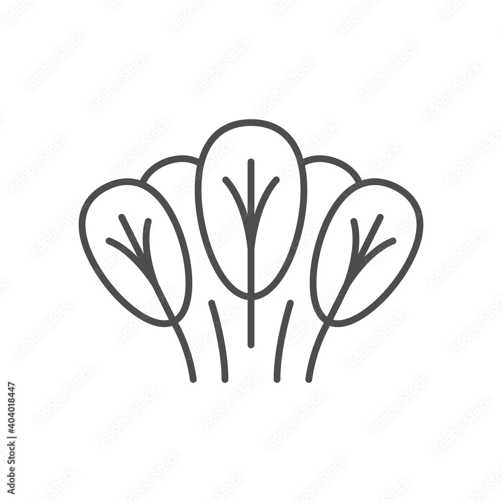 Spinach line icon or vegetable concept Spinach line icon or vegetable concept