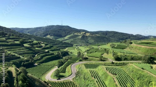 Beautiful vineyard landscape showing a curvy mountain pass road at the Kaiserstuhl, Germany. A black car is driving down the road. photo