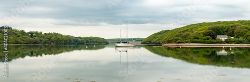 Cleddau Estuary
